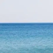 ゆんほちゃんの画像
