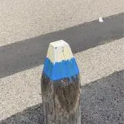 mgの画像