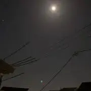 さぼてんの画像