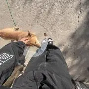 p_boyの画像