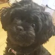 さーちゃん
