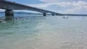 Yの画像