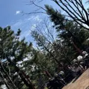 売りますの画像