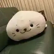 ビリーの画像