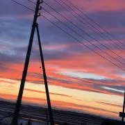 ゆゆの画像