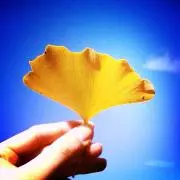 ニコニコ☺︎の画像