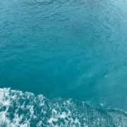 パッションフルーツらぶの画像