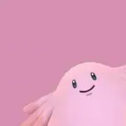 ラッキーの画像