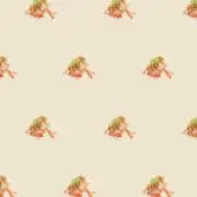 おもちの画像