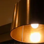ヤイの画像