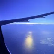 ぷっちょの画像