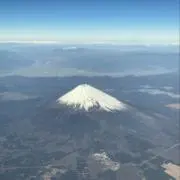 パピの画像