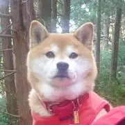 タカヒロの画像