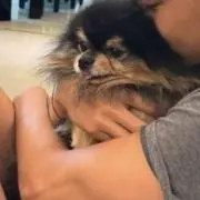 なつの画像