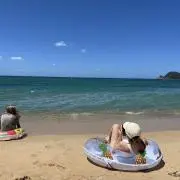 うさぎのの画像