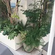 スパムおにぎりの画像