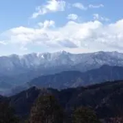 寿司太郎の画像