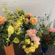 ペコの画像