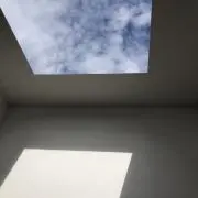 a.の画像
