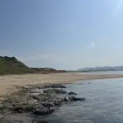 おまめの画像