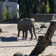希少！ IKEA ULSBERG ウルズベリベッド サイドテーブル 黒 送料込