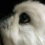 M mamaの画像