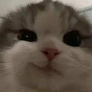 mio