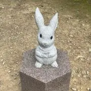 ななの画像