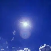 おまめの画像