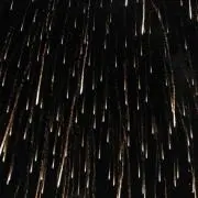 つくねの画像