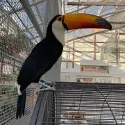 ナツ
