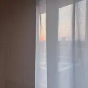mzonの画像