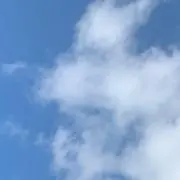 綾の画像