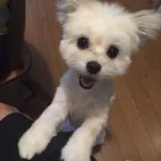 Ryoの画像