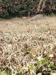 8823の画像