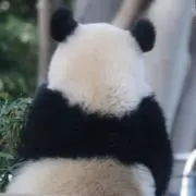 みいの画像