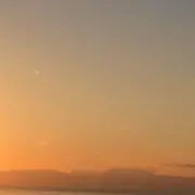 nariの画像
