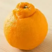 satomeri3の画像