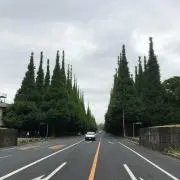 たけし