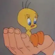 aの画像