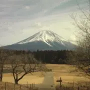 さんのん