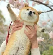 えりーの画像
