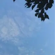 keの画像