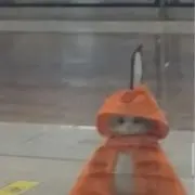 えとの画像