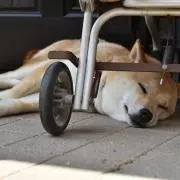 k nの画像