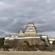 tiの画像