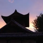 蒼の画像