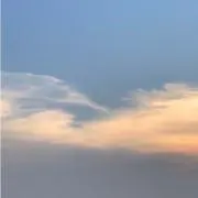 ココロ