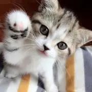 あやまま99