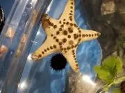 アイ